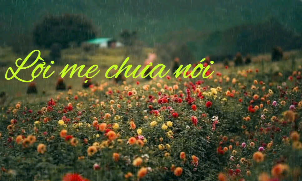 LỜI MẸ CHƯA NÓI