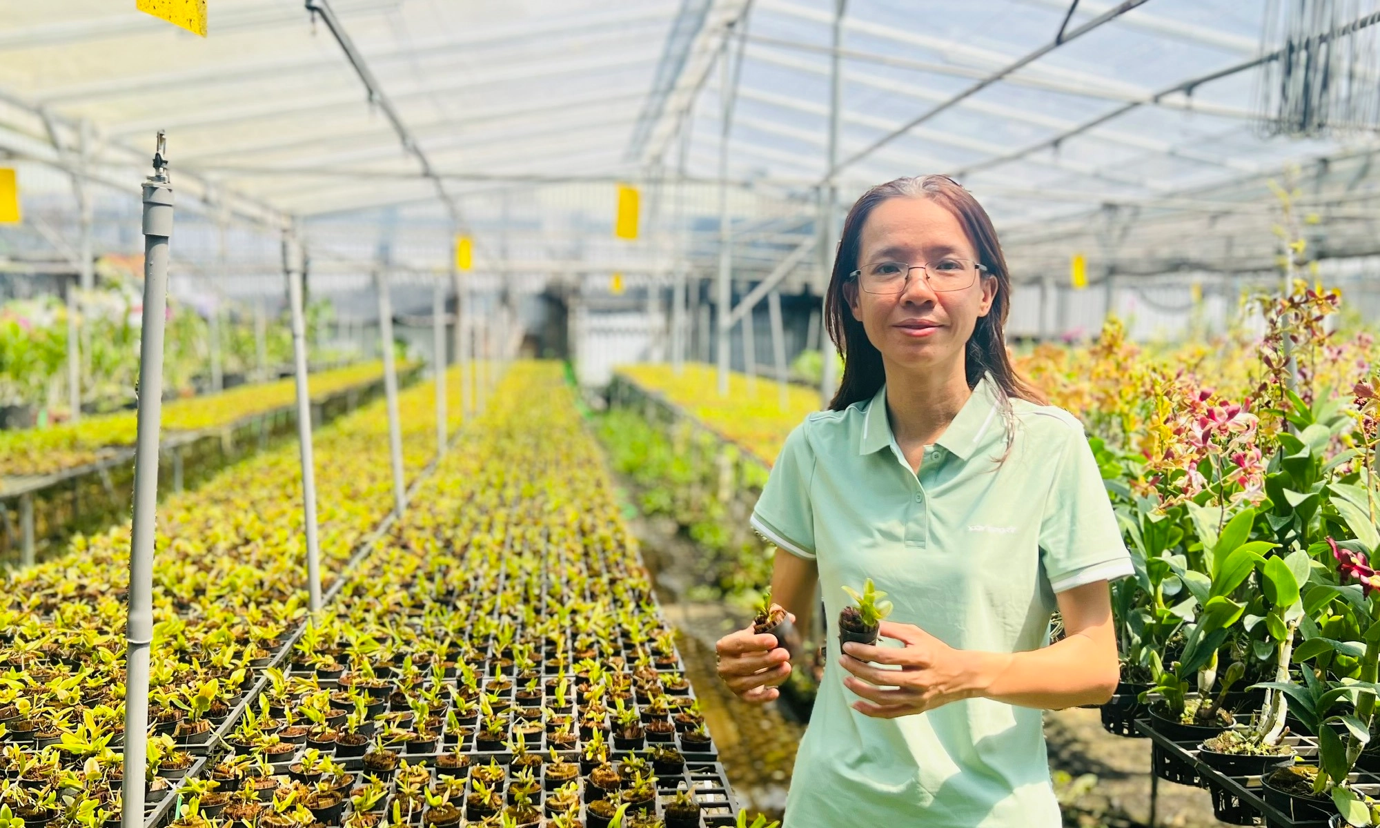 Ứng dụng công nghệ phát triển nghề lan tại TPHCM 