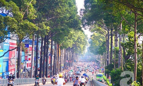 Đô thị xanh ngày 15/7/2025