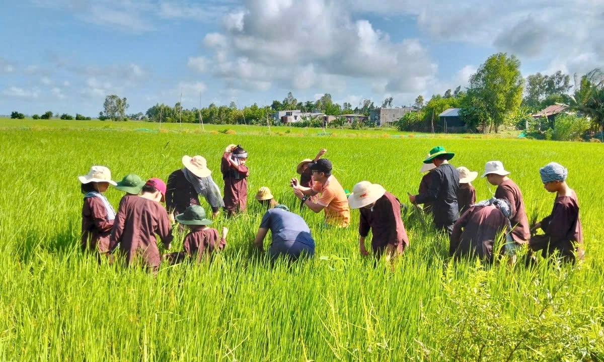 Chương Trình “Kỳ Hè Nông Nghiệp Xanh – Hành Trình Hạt Gạo Tương Lai” Chính Thức Khởi Động