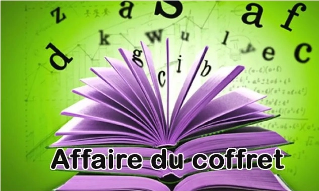 Affaire du coffret : Có vẻ như đây là màng lưới phía Nam - Tòng phạm của vụ trộm?