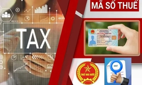 Từ 15/8: Áp dụng mã định danh cá nhân thay mã số thuế trong thủ tục hải quan chuyển phát nhanh