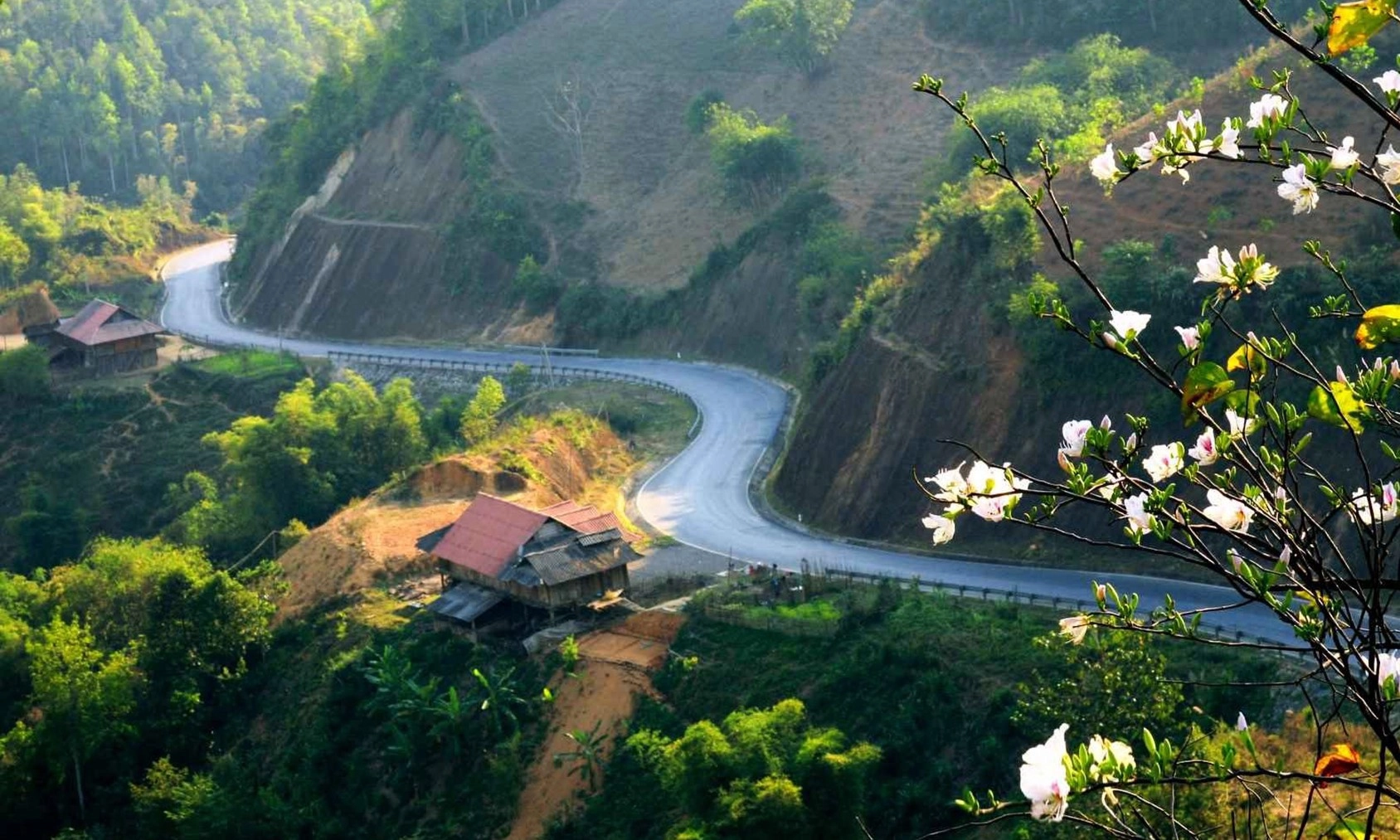 Vietnam pushes for “green passport” to boost global tourism integration