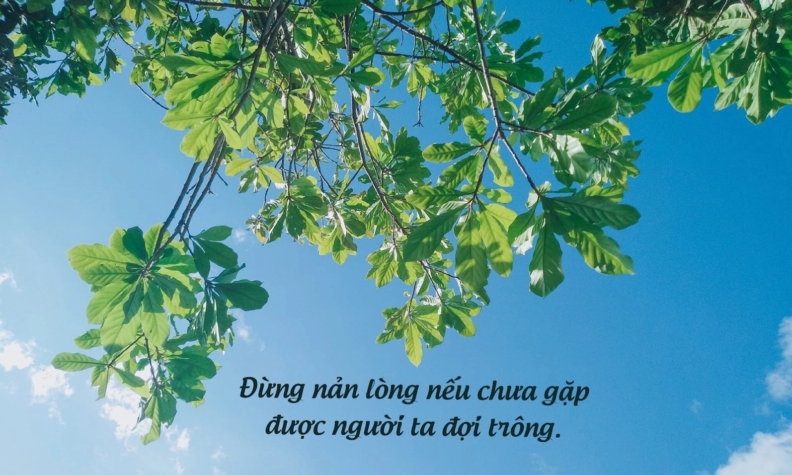 Mình buồn đủ rồi, mình hạnh phúc thôi
