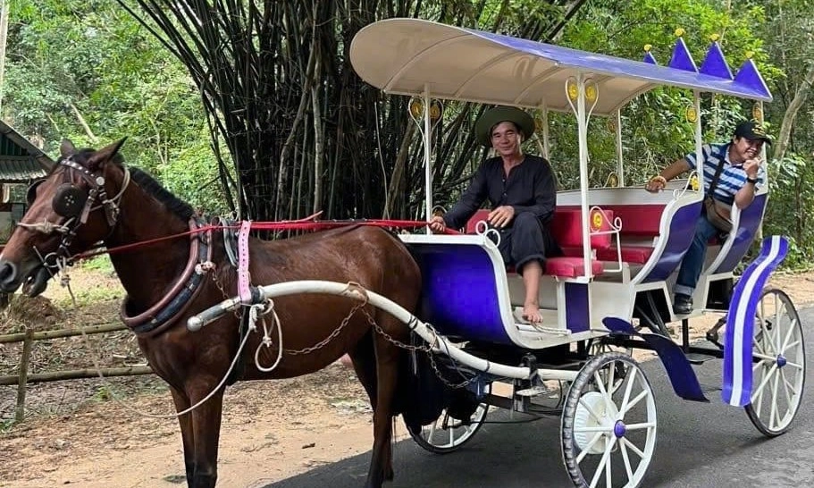 Giai điệu mới trong mạch nguồn phương Nam