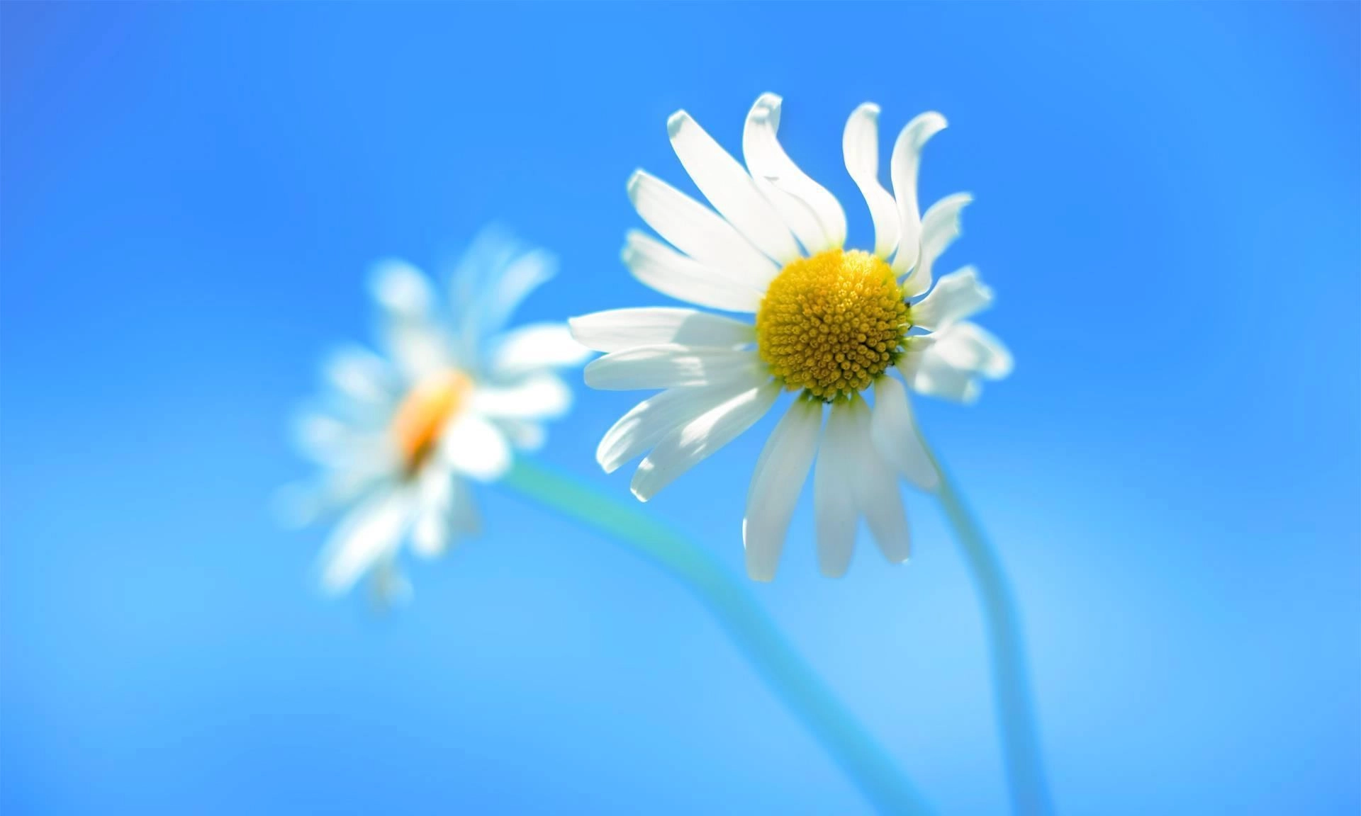 HÀNH TRÌNH TÌM LẠI GIÁ TRỊ BẢN THÂN