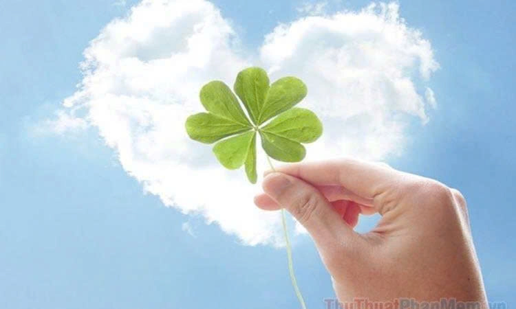 KHI ÁNH ĐÈN TẮT – CÂU CHUYỆN CỦA DIỄN VIÊN KIM HUYỀN