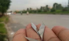 Cần mạnh tay với đinh tặc