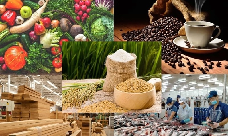 Xuất khẩu nông, lâm, thủy sản đạt hơn 58 tỷ USD trong 10 tháng, tăng gần 13% so với cùng kỳ