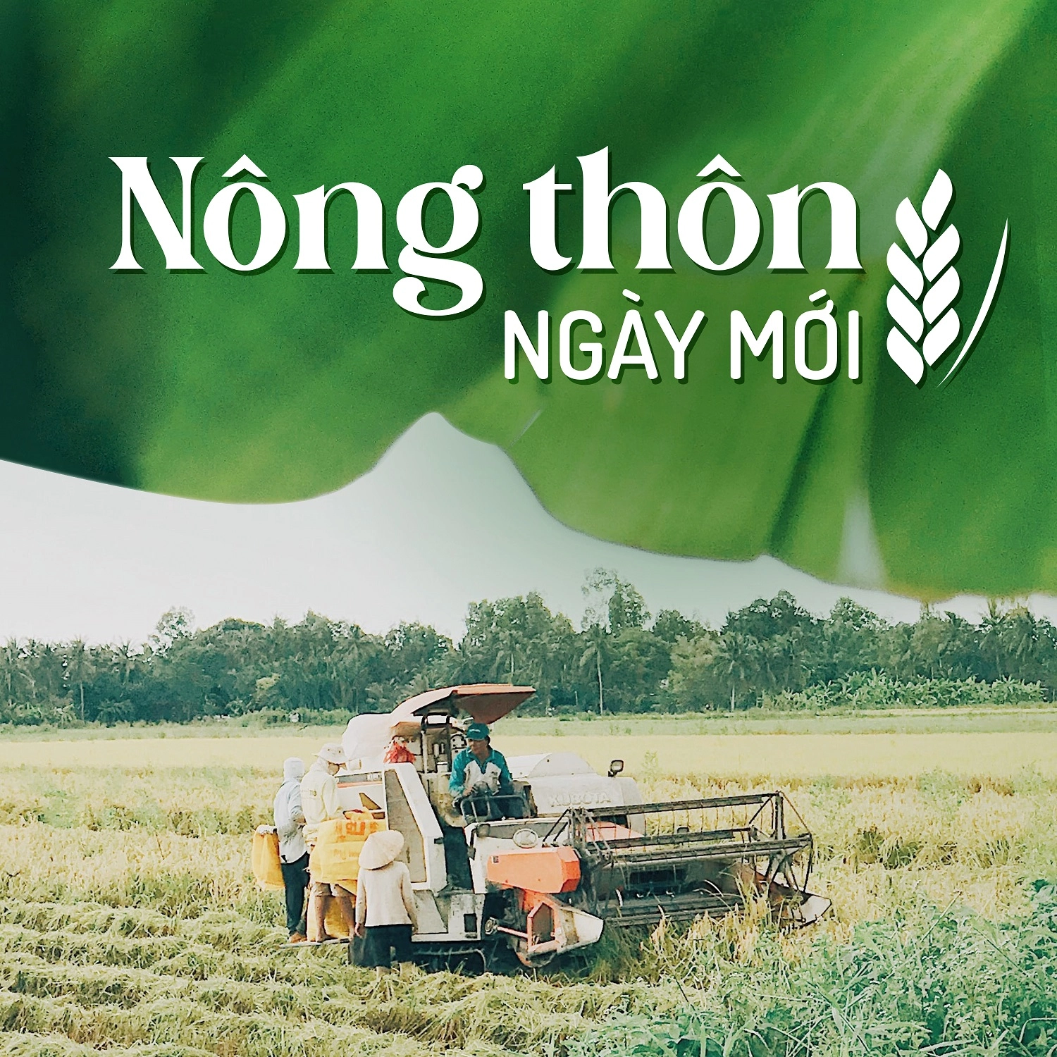 Nông thôn ngày mới ngày 19-11-2025