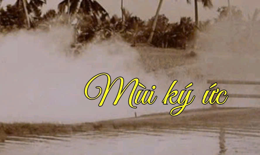 MÙI KÝ ỨC