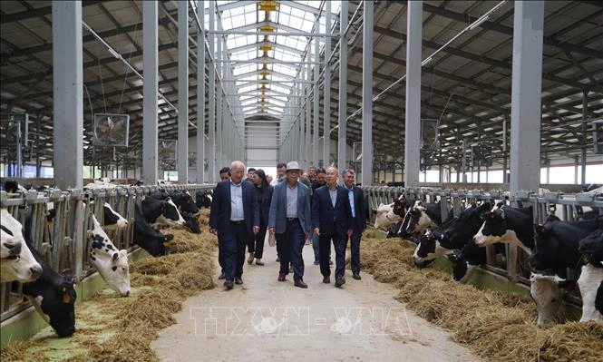 TH True Milk xây dựng theo mô hình khép kín, từ cánh đồng đến ly sữa sạch 