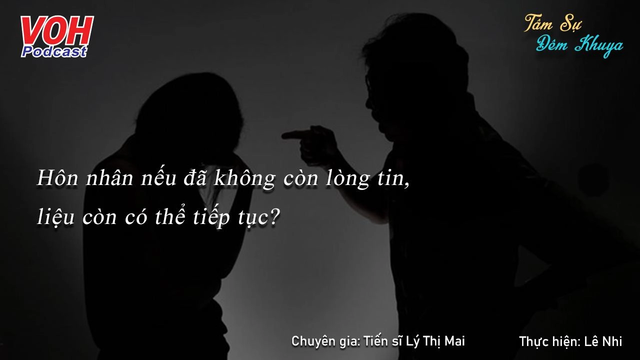 Chồng trăng hoa lại còn tung tin tôi... theo trai - Tâm Sự Đêm Khuya